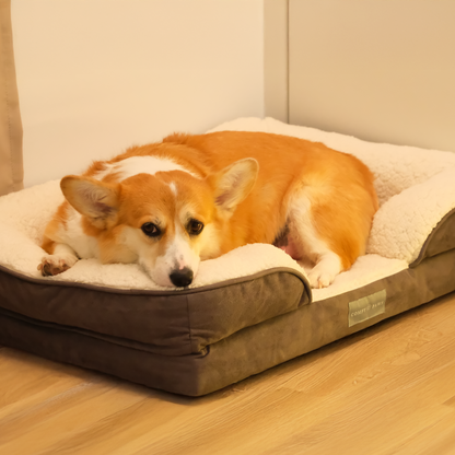 Comfy Orthopedic Dog Bed