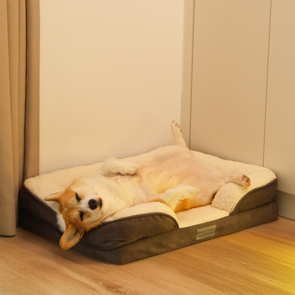 Comfy Orthopedic Dog Bed